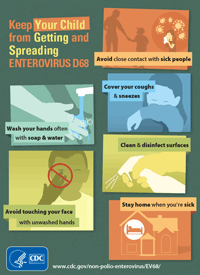 Enterovirus Infographic by the CDC