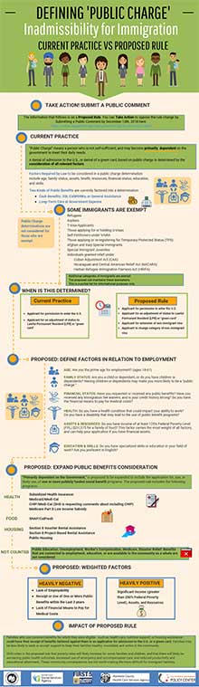 Public Charge Infographic