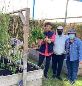 residents gardening 