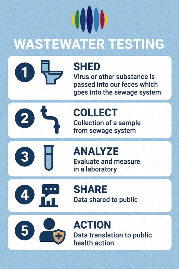 2.	This is an infographic of wastewater testing and includes a simple septic system with the steps overlayed. The first step is “Shed” and there is a picture of a toilet. Virus or other pathogens are shed in the feces which goes into the septic system. The second step is “Collect”. Collection of a sample in the septic system occurs to test for pathogens. The third step is “Analyze”. The sample is then analyzed for specific pathogens. The fourth step is “Share” which describes that the data is shared to the public. The fifth step is “Action” which describes that the data is translated to public health action.